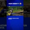 Jembatan Ambruk Kedua Kalinya