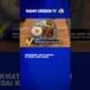 Menikmati Sate Taican Di Kedai Kopi Nama