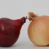 Bawang Bombay