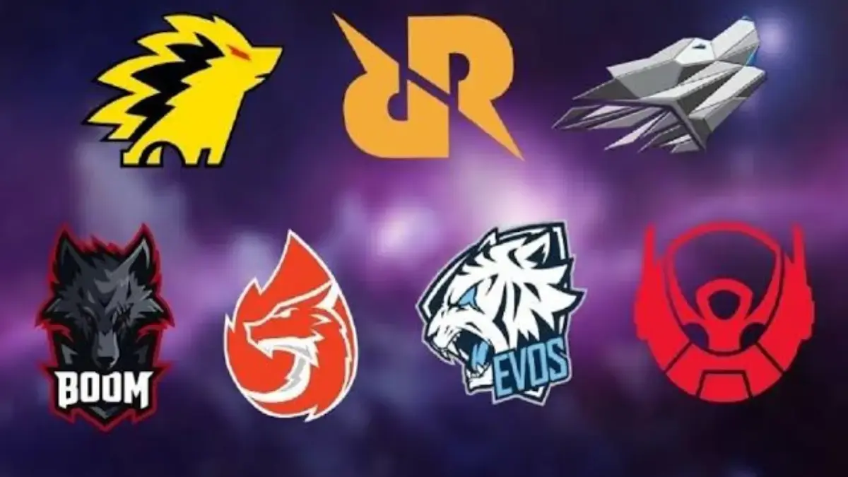 Tim esport