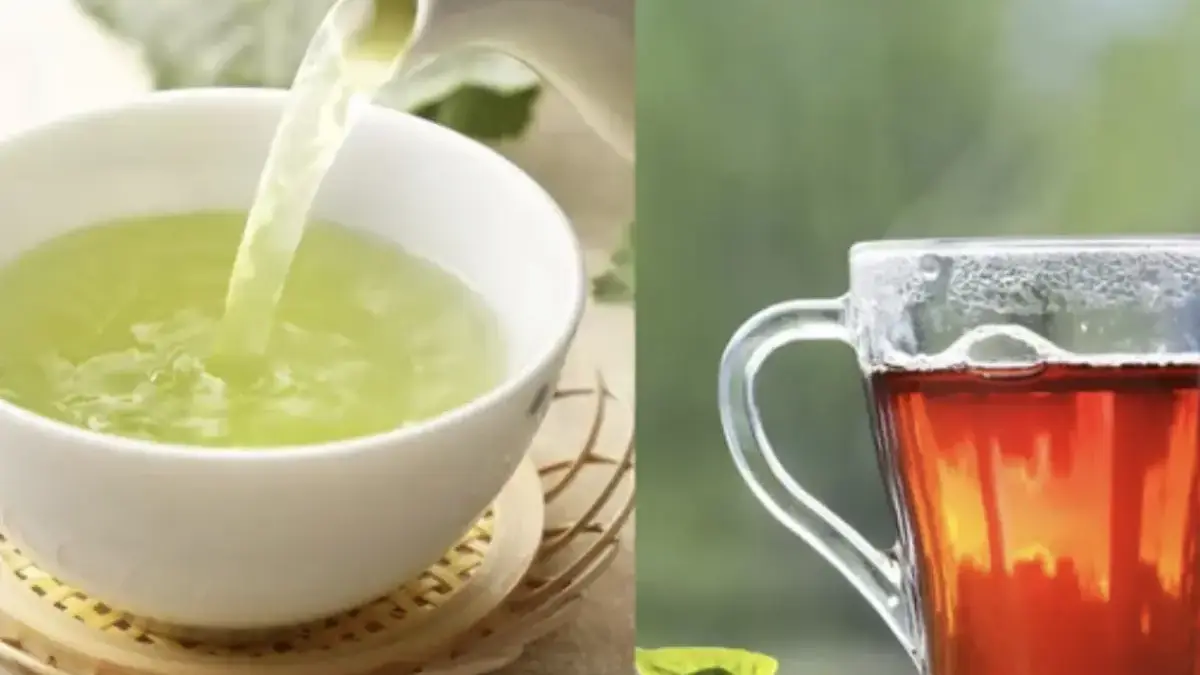 Perbedaan teh hijau dan teh hitam