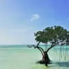 Pulau Biawak Indramayu