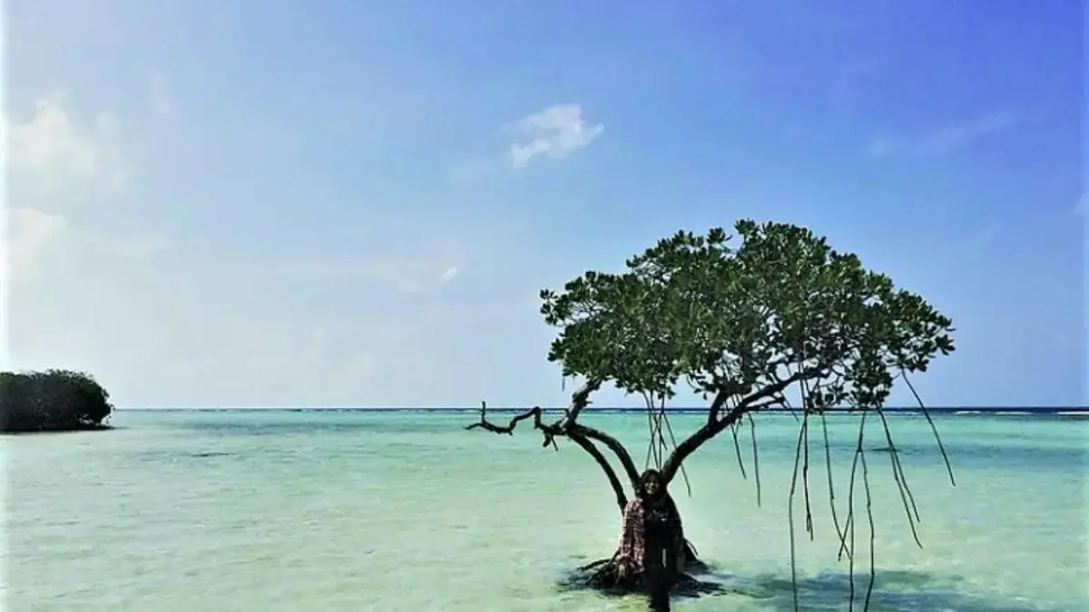 Pulau Biawak Indramayu