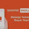 Pinjaman Online