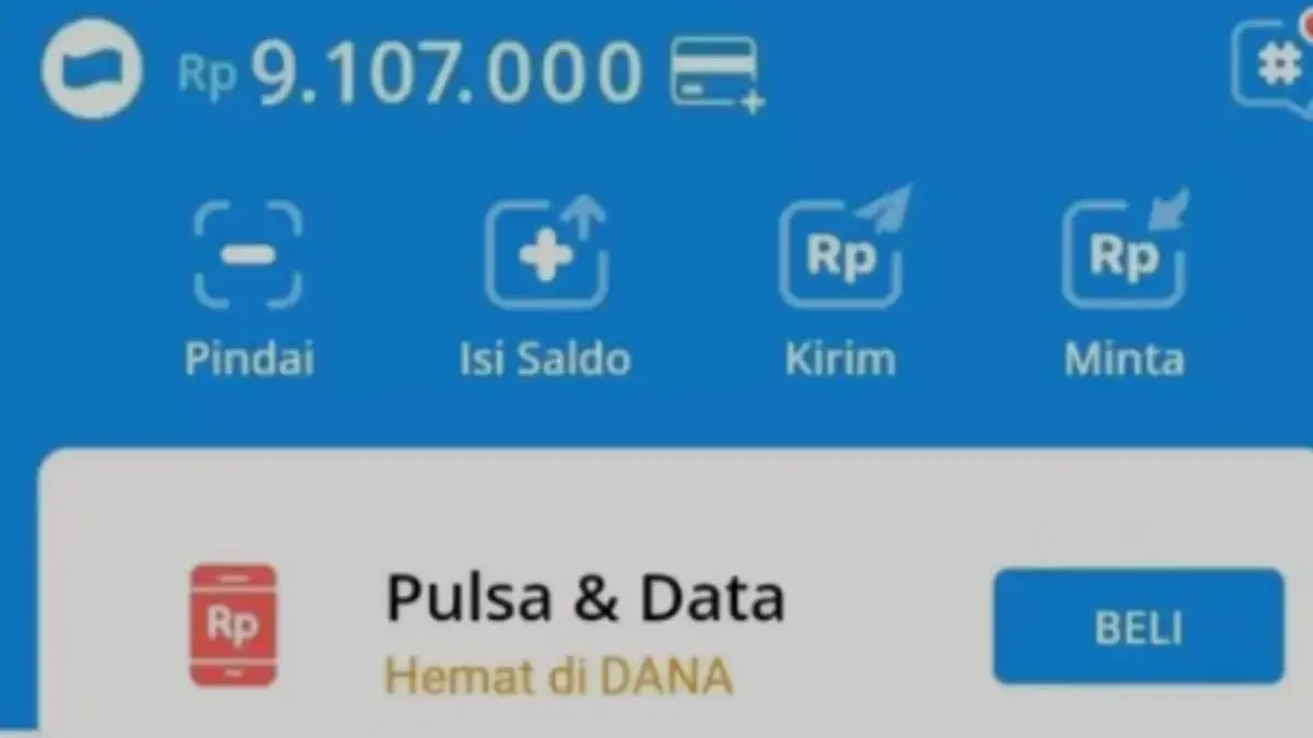 Saldo Dana