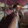 Idul Adha