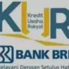 KUR BRI