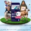 Kurban MAI Livin\' Sukha by Mandiri