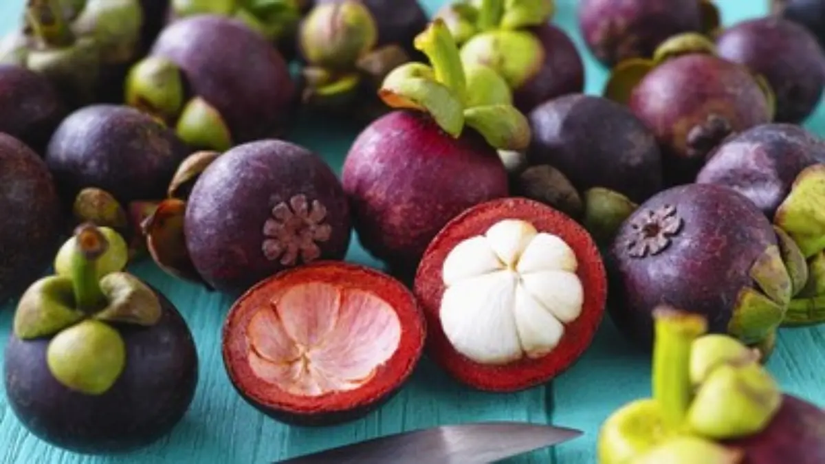Manggis Jadi Buah Terbaik se-Asia Tenggara Versi TasteAtlas 2025, Ini 5 Manfaat untuk Kesehatan