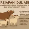 persiapan idul adha/foto:radartv.id