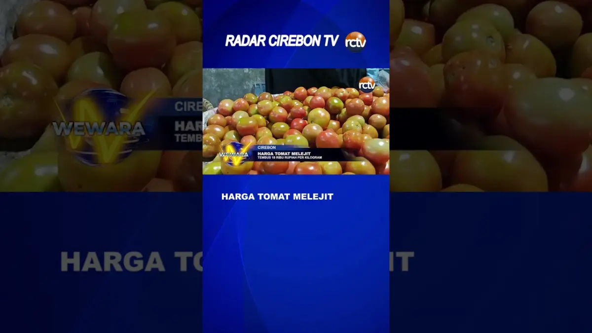 Harga Tomat Melejit