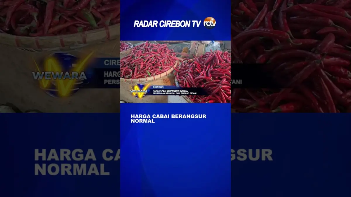 Harga Cabai Berangsur Normal