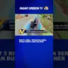 Tiket 5 Ribu, Prosotan Seru, Taman Bunga Dan Kuliner