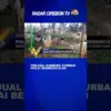 Penjual Kambing Kurban Mulai Bermunculan