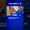Masuk Dapur, Damkar Tangkap Tokek