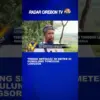 Tebing Setinggi 50 Meter di Gumulung Tonggoh Longsor