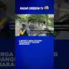 8 Warga Desa Sigong Terjangkit Demam Berdarah