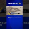 Jalan Sekar Kemuning Kembali Rusak