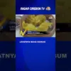 Lezatnya Maha Dimsum