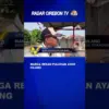Warga Resah Puluhan Ayam Hilang