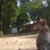 situs sunan kalijaga