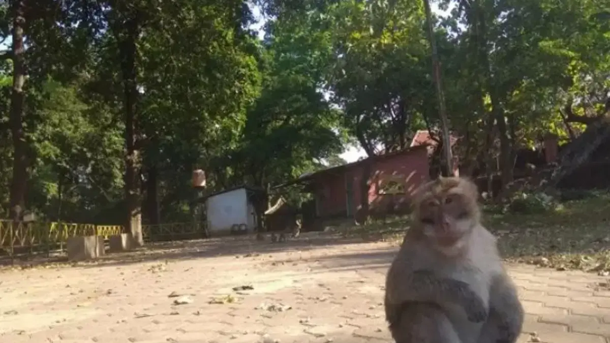 situs sunan kalijaga
