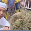 Dedi Mulyadi ke Batik Trusmi