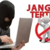 penipuan online