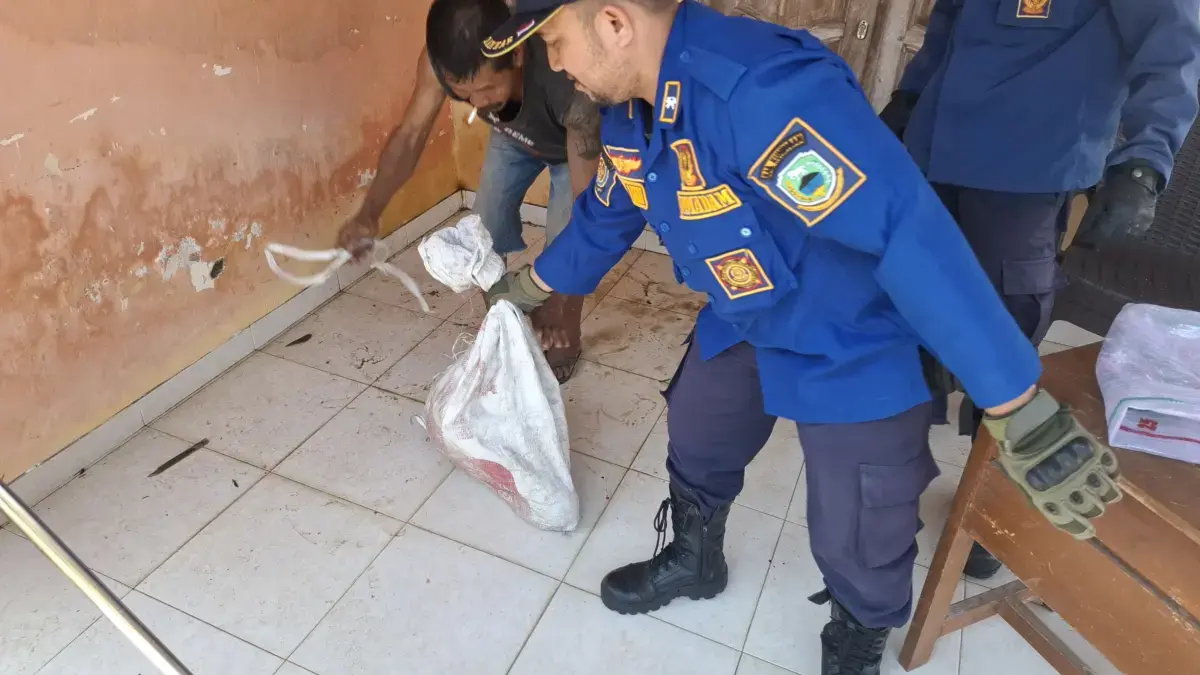 damkar kuningan evakuasi anjing liar