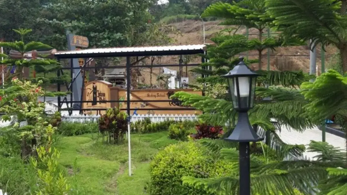 istana stable