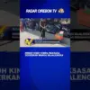 Heboh King Cobra Raksasa Gegerkan Warga Majalengka
