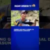 Tebing Galian C Ilegal Di Argasunya Longsor
