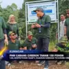 PNM Cabang Cirebon Tanam 150 Pohon