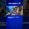 Damkar Datang, Musang Menyerah
