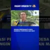Irigasi Pertanian Di Desa Beringin Terputus Dan Mati