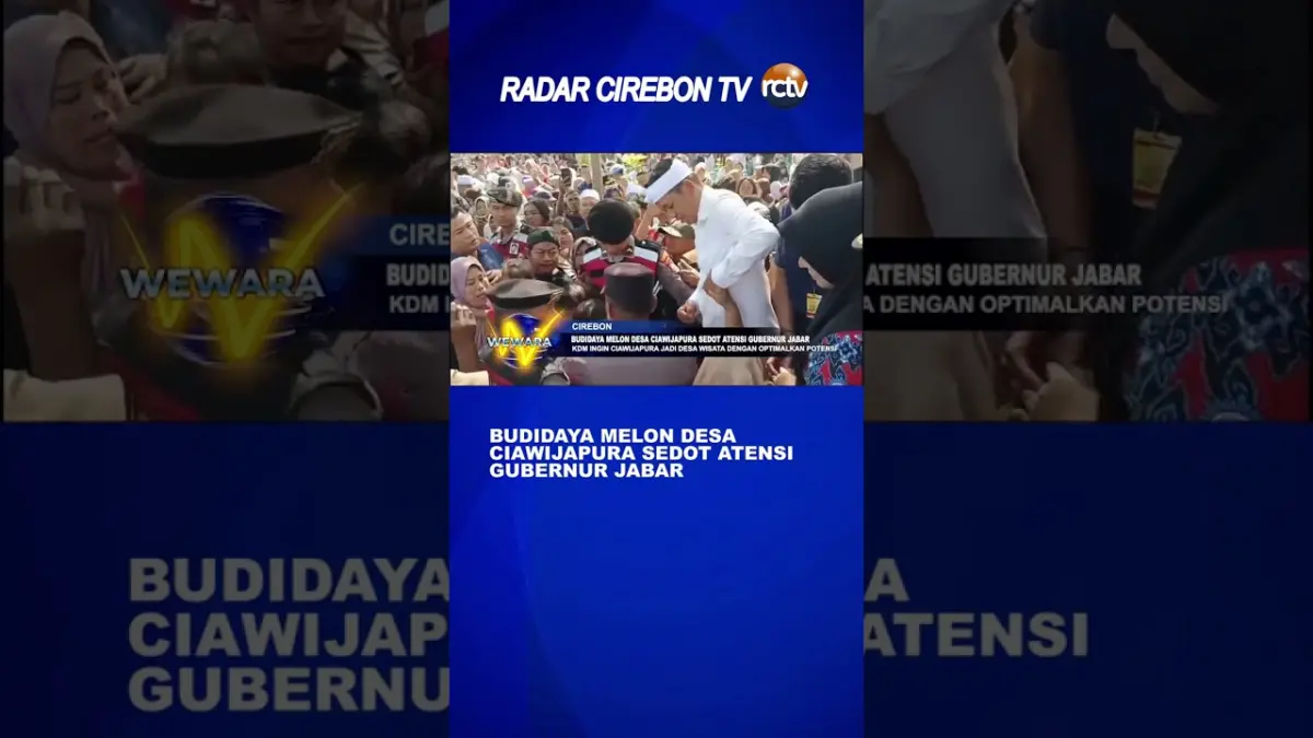 Budidaya Melon Desa Ciawijapura Sedot Atensi Gubernur Jabar