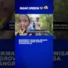 Menikmati Suasana Wisata Mangrove Dewi Surga Karangreja