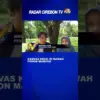 Kanvas Kecil Di Bawah Pohon Mangga