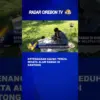 Ketenangan Saung Teduh, Wisata Alam Ramah Di Kantong