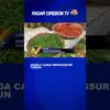 Harga Cabai Berangsur Turun