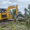 Satgas PKH membongkar tanaman sawit yang ditanam didalam areal TNTN