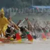 Paju Calur