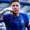Enzo Fernandes Chelsea