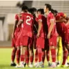 Timnas Malaysia