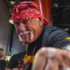 Hulk Hogan