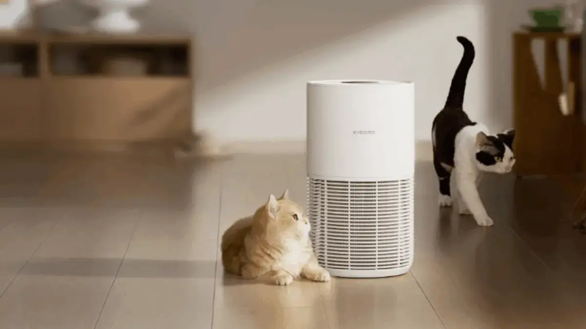 Smart Pet Air Purifier dan Pet Fountain