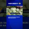 Harga Sayur Naik Turun Di Pasar Harjamukti