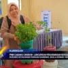 PNM Cabang Cirebon Luncurkan Pekarangan Bergizi