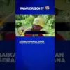 Perbaikan Bahu Jalan Pangeran Cakrabuana