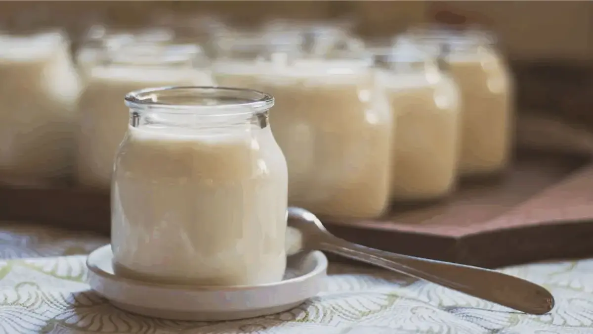Manfaat yogurt bagi kesehatan